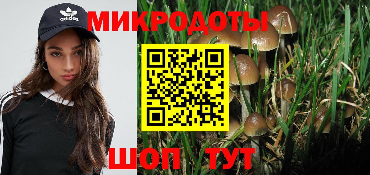 Псилоцибиновые грибы Magic Shrooms Реж