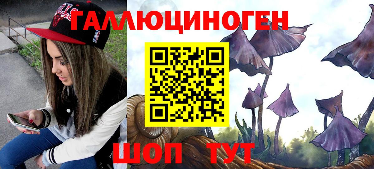 Реж  Галлюциногенные грибы ЛСД  Вход с VPN  Галлюциногенные грибы мухоморы 