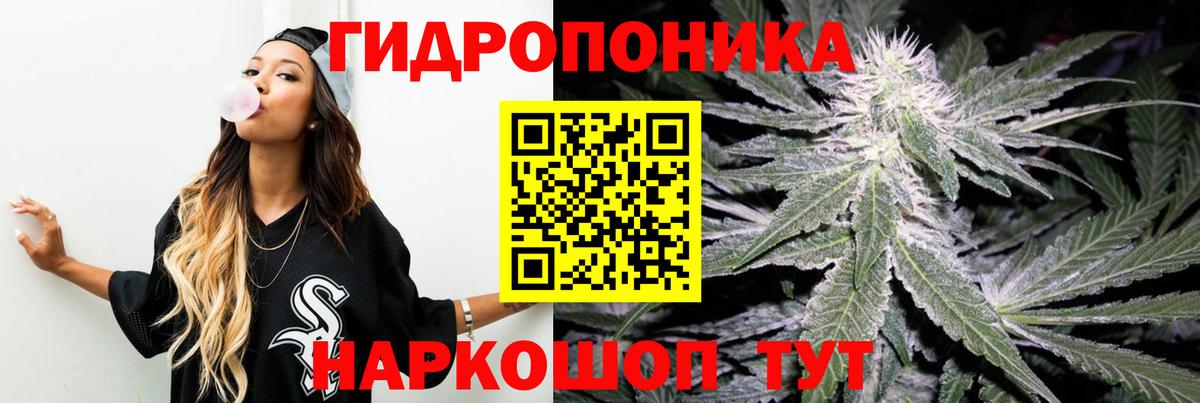 Шишки марихуана OG Kush Реж